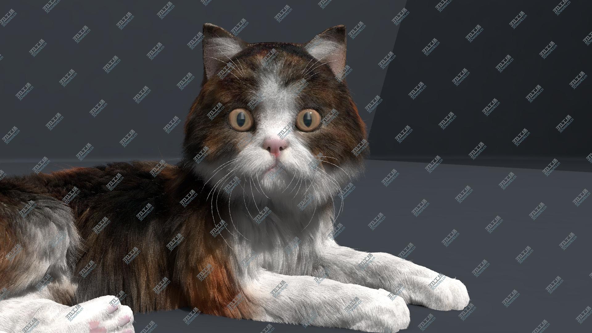 images/goods_img/2021040233/Cat Fur Animated1 3D model/4.jpg